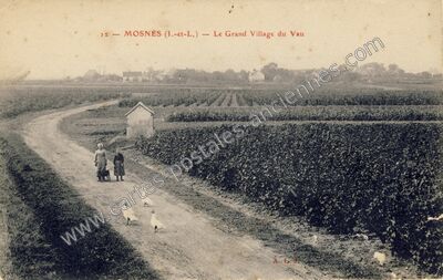 Carte postale ancienne Le Grand Village du Vau — Mosnes (Indre-et-Loire)