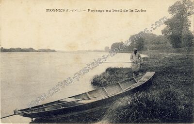 Carte postale ancienne Paysage au bord de la Loire — Mosnes (Indre-et-Loire)
