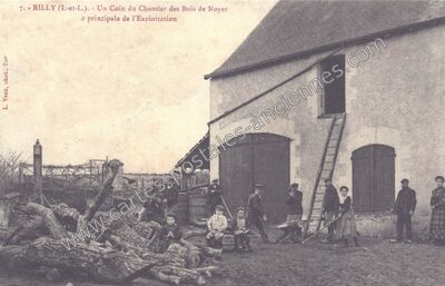 Carte postale ancienne Un Coin du Chantier des Bois de Noyer, principale de l'Exploitation — Rilly-sur-Vienne (Indre-et-Loire)