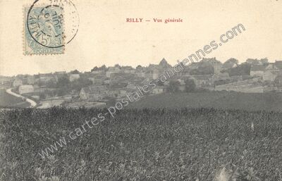 Carte postale ancienne Vue générale — Rilly-sur-Vienne (Indre-et-Loire)