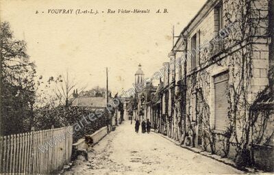 Carte postale ancienne Rue Victor-Hérault — Vouvray (Indre-et-Loire)