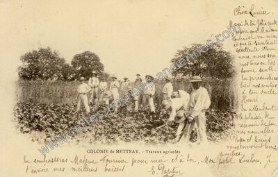 Carte postale ancienne Travaux agricoles — Mettray (Indre-et-Loire)