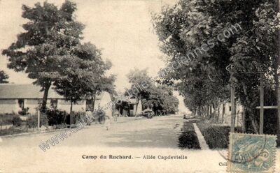 Carte postale ancienne Camp du Ruchard — Avon-les-Roches (Indre-et-Loire)