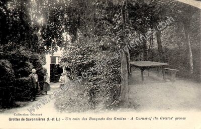 Carte postale ancienne Grottes de Savonnières - Un coin des Bosquets des Grottes — Savonnières (Indre-et-Loire)