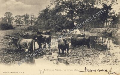 Carte postale ancienne La Vie aux Champs — Vienne (Isère)