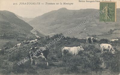 Carte postale ancienne Jura Touristique — Non Localisée (Jura)