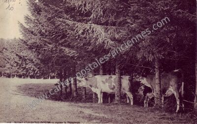 Carte postale ancienne Montagnes de Doubs — Non Localisée (Jura)