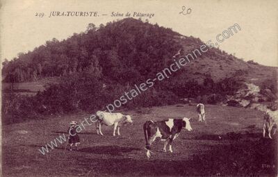 Carte postale ancienne Scene de Paturage — Non Localisée (Jura)