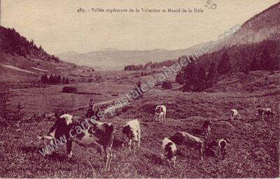 Carte postale ancienne Vallee de la Valserine — Non Localisée (Jura)