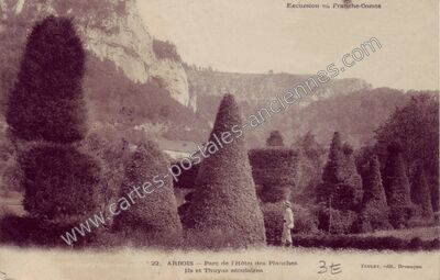 Carte postale ancienne Parc de l'Hôtel des Planches, Ifs et Thuyas séculaires — Arbois (Jura)