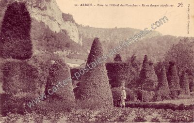 Carte postale ancienne Parc de l'Hôtel des Planches - Ifs et thuyas séculaires — Arbois (Jura)