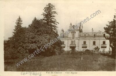 Carte postale ancienne Vue du Château - Côté Sapins — Châtenois (Jura)
