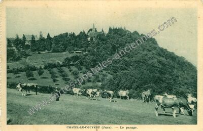 Carte postale ancienne Chatel le Couvent — Gizia (Jura)
