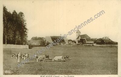 Carte postale ancienne La Prairie — Malange (Jura)