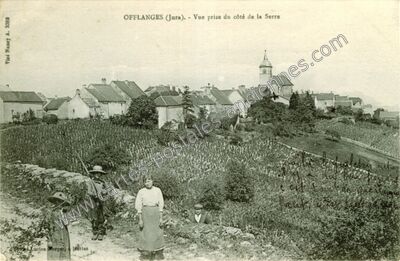 Carte postale ancienne Vue prise du côté de la Serre — Offlanges (Jura)