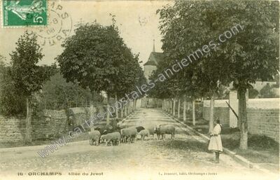 Carte postale ancienne Allée du Jevot — Orchamps (Jura)