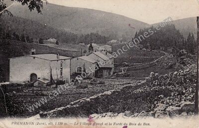 Carte postale ancienne Le Village d'aval et la Forêt du Bois de Ban — Prémanon (Jura)