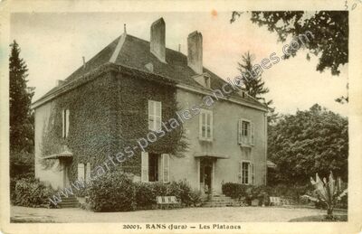 Carte postale ancienne Les Platanes — Rans (Jura)