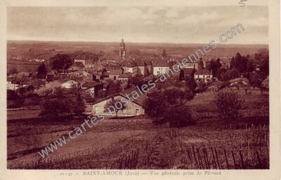 Carte postale ancienne Vue générale prise de Péroset — Saint-Amour (Jura)