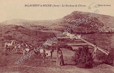 Carte postale ancienne La Gardeuse de Chèvres — Saint Laurent la Roche (Jura)