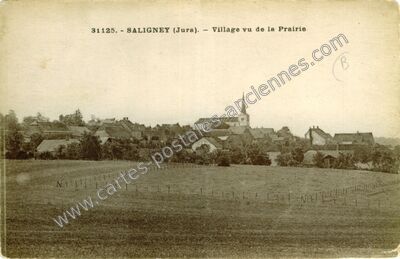 Carte postale ancienne Village vu de la Prairie — Saligney (Jura)