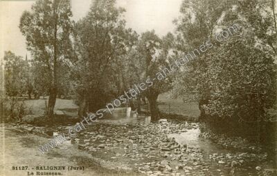 Carte postale ancienne Le Ruisseau — Saligney (Jura)
