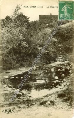 Carte postale ancienne La Source — Saligney (Jura)