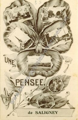 Carte postale ancienne Une Pensée — Saligney (Jura)