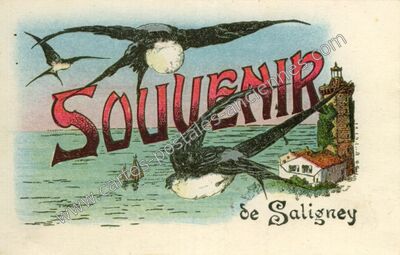Carte postale ancienne Souvenir — Saligney (Jura)