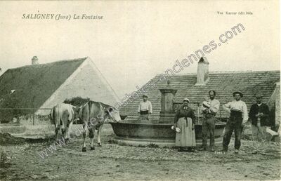 Carte postale ancienne La Fontaine — Saligney (Jura)