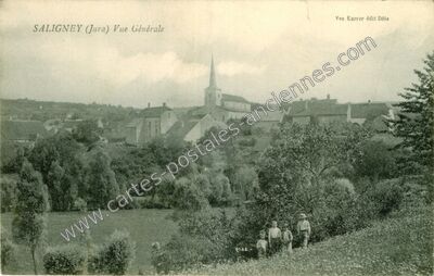 Carte postale ancienne Vue Générale — Saligney (Jura)