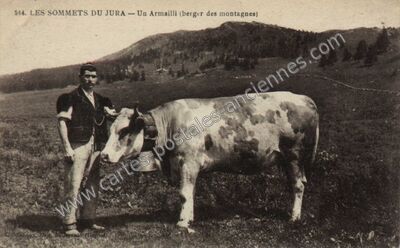 Carte postale ancienne Un Armailli — Non Localisée (Jura)
