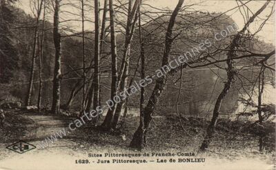 Carte postale ancienne Lac de Bonlieu — Bonlieu (Jura)
