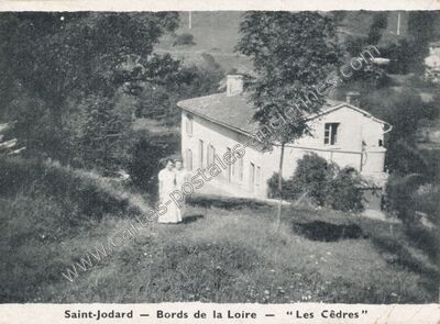 Carte postale ancienne Bords de la Loire - "Les Cèdres — Saint-Jodard (Loire)