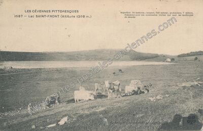 Carte postale ancienne Lac St Front — Saint-Front (Haute-Loire)