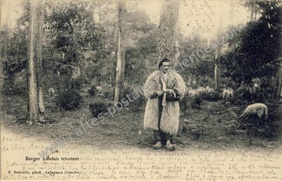 Carte postale ancienne Berger Landais — Non Localisée (Landes)