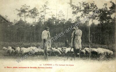 Carte postale ancienne Bergers — Non Localisée (Landes)