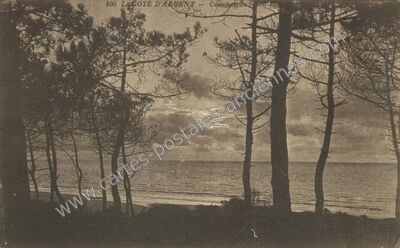 Carte postale ancienne Cote D'Argent — Non Localisée (Landes)