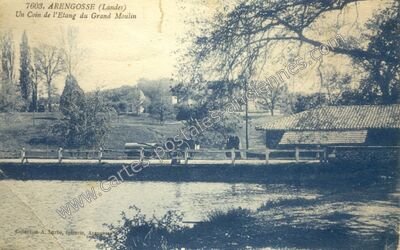 Carte postale ancienne Un Coin de l'Etang du Grand Moulin — Arengosse (Landes)