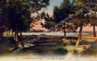 Carte postale ancienne Les Pins du Bouret — Capbreton (Landes)