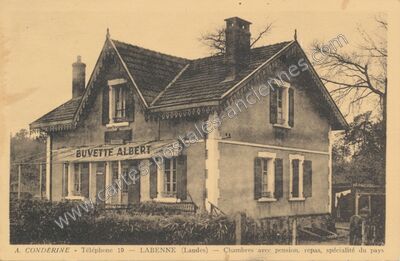 Carte postale ancienne Buvette Albert — Labenne (Landes)
