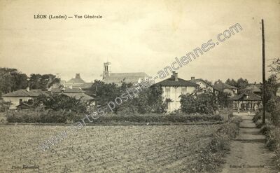 Carte postale ancienne Vue Générale — Léon (Landes)