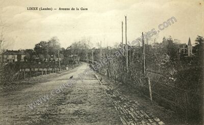 Carte postale ancienne Avenue de la Gare — Linxe (Landes)