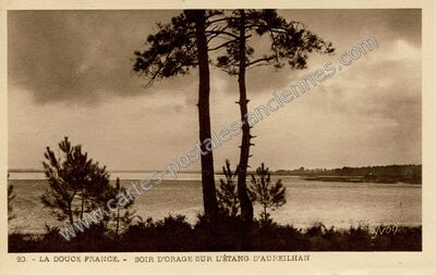 Carte postale ancienne Etang d'Aureilhan — Mimizan (Landes)