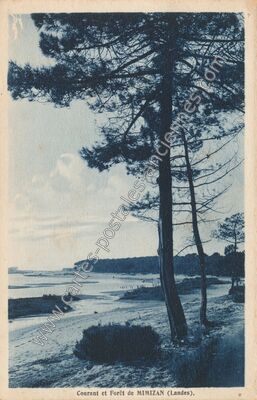 Carte postale ancienne Courant et Forêt — Mimizan (Landes)