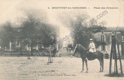 Carte postale ancienne Place des Ormeaux — Montfort-en-Chalosse (Landes)