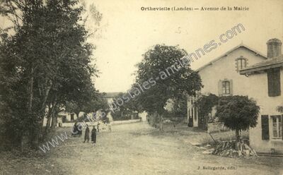 Carte postale ancienne Avenue de la Mairie — Orthevielle (Landes)