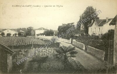 Carte postale ancienne Saint-Cricq-du-Gave