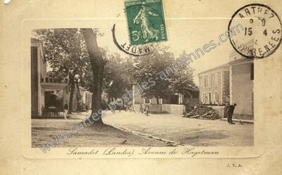 Carte postale ancienne Avenue de Hagetmau — Samadet (Landes)