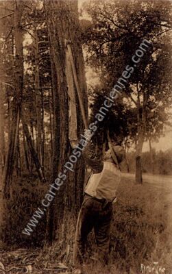 Carte postale ancienne Gemmeur — Non Localisée (Landes)